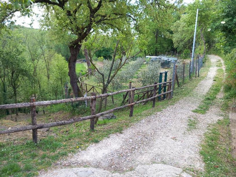 La Chimera Arezzo Eksteriør billede